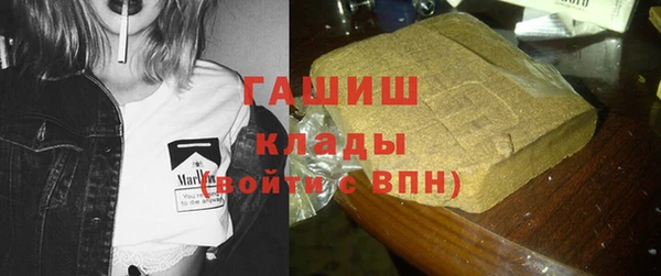 прущие грибы Бикин