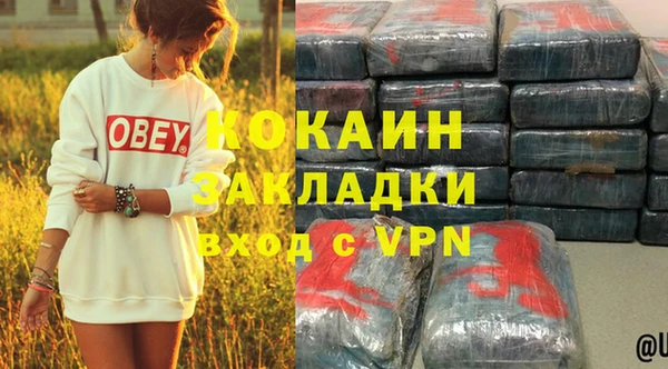 дживик Надым