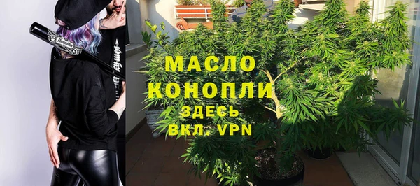 дживик Надым