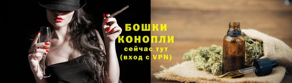 индика Нефтегорск