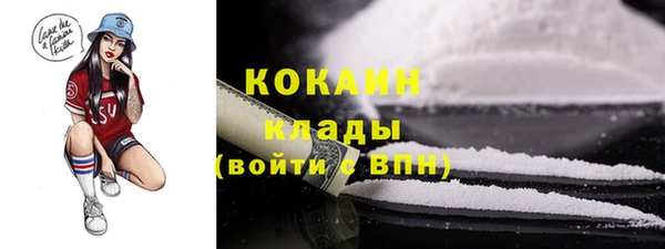 дживик Надым