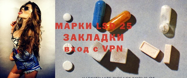 дживик Надым