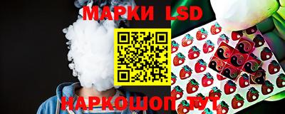 СК Абакан