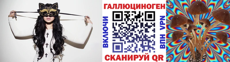mega ССЫЛКА  Шадринск  Галлюциногенные грибы GOLDEN TEACHER  купить  цена 