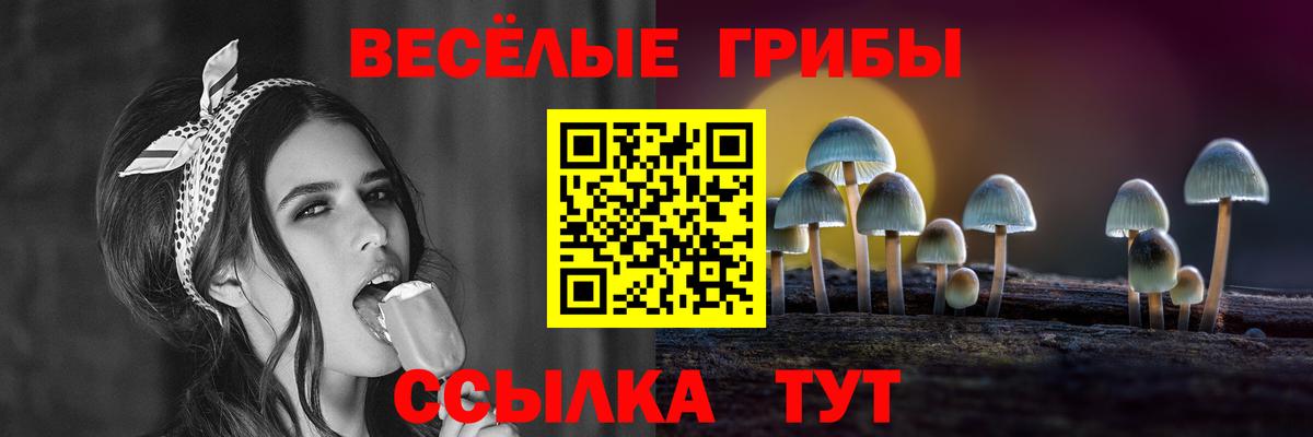 Псилоцибиновые грибы Magic Shrooms Шадринск